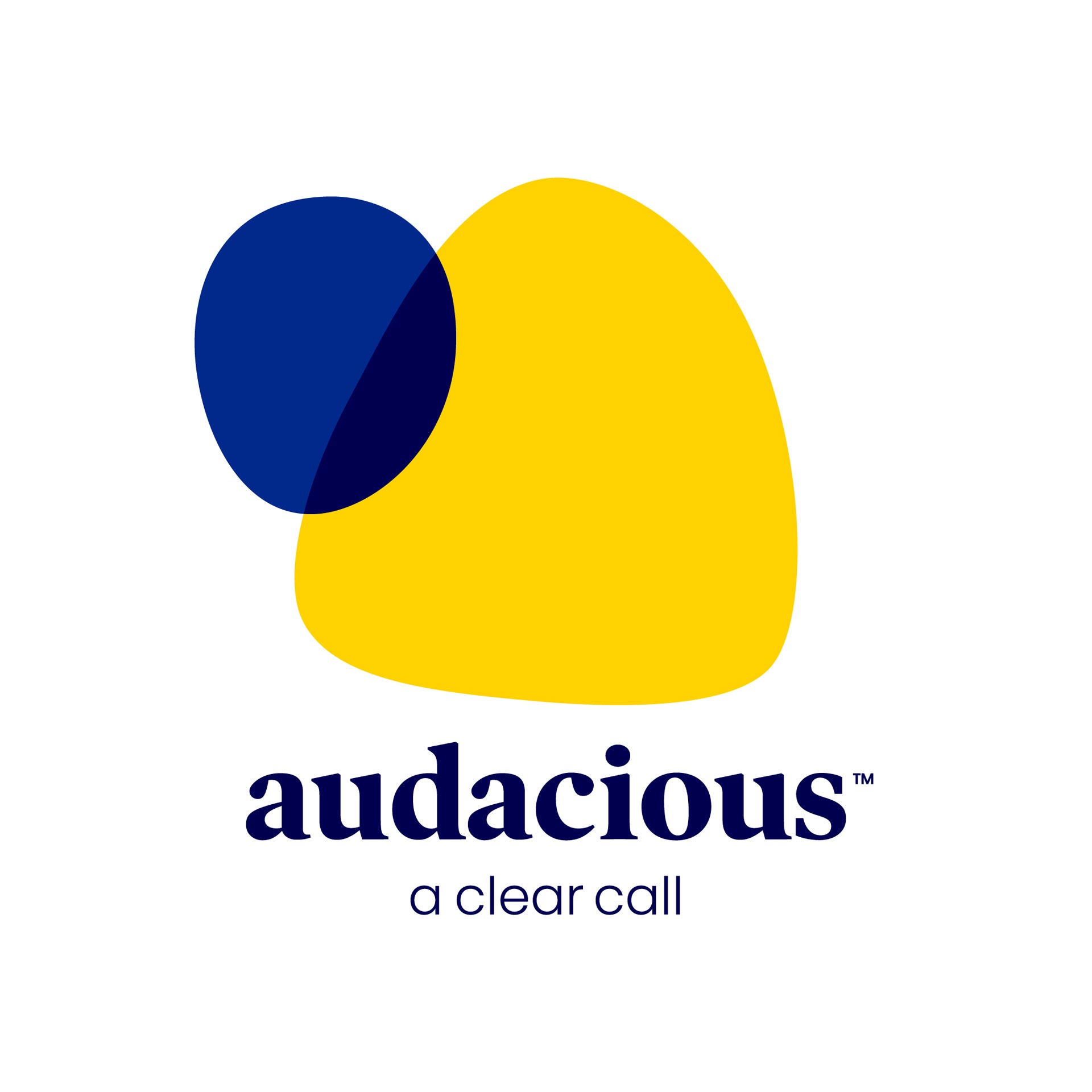 Inclusive Identity: Silas Amos | Design Thought for Audacious